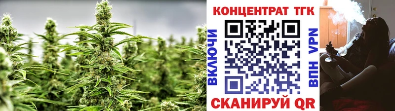 ТГК концентрат  shop состав  Миасс 