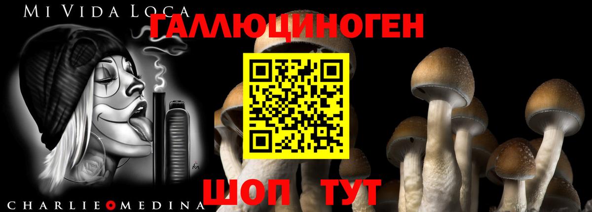 Миасс  COCAIN  Канабис  APVP СК   Вход с VPN  Codein  Меф МЯУ МЯУ   ГАШ 